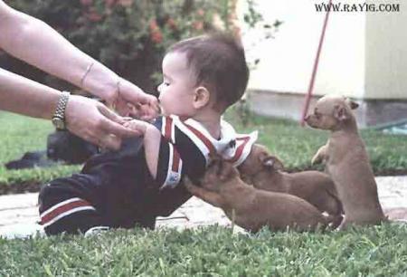 sakny waldk bana9s mnha tarbiya